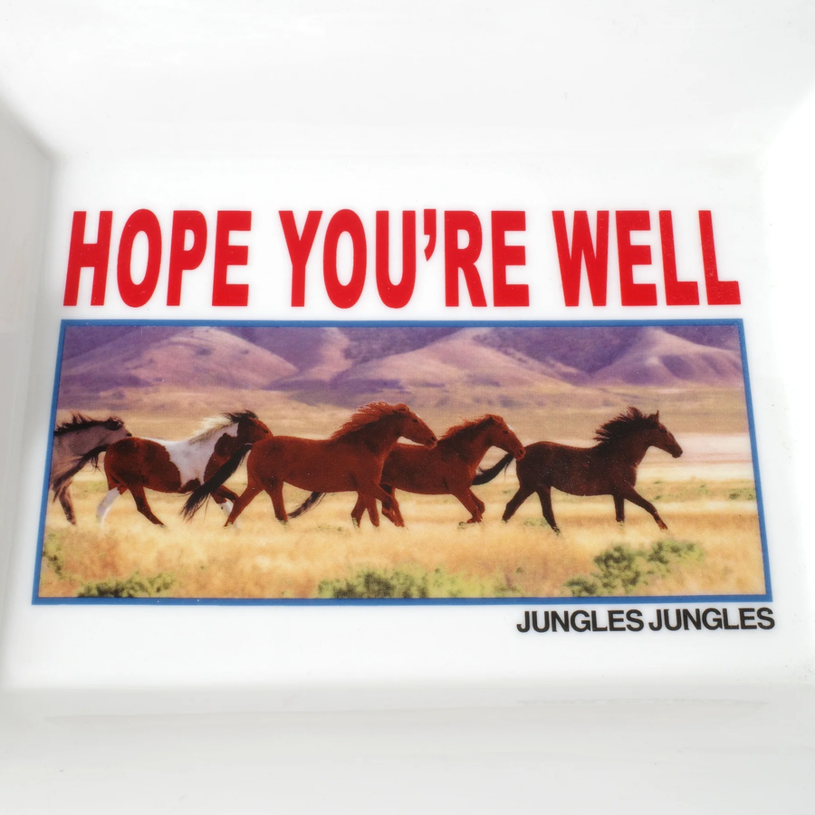 Jungles Jungles Hope You're Well Ash Tray White