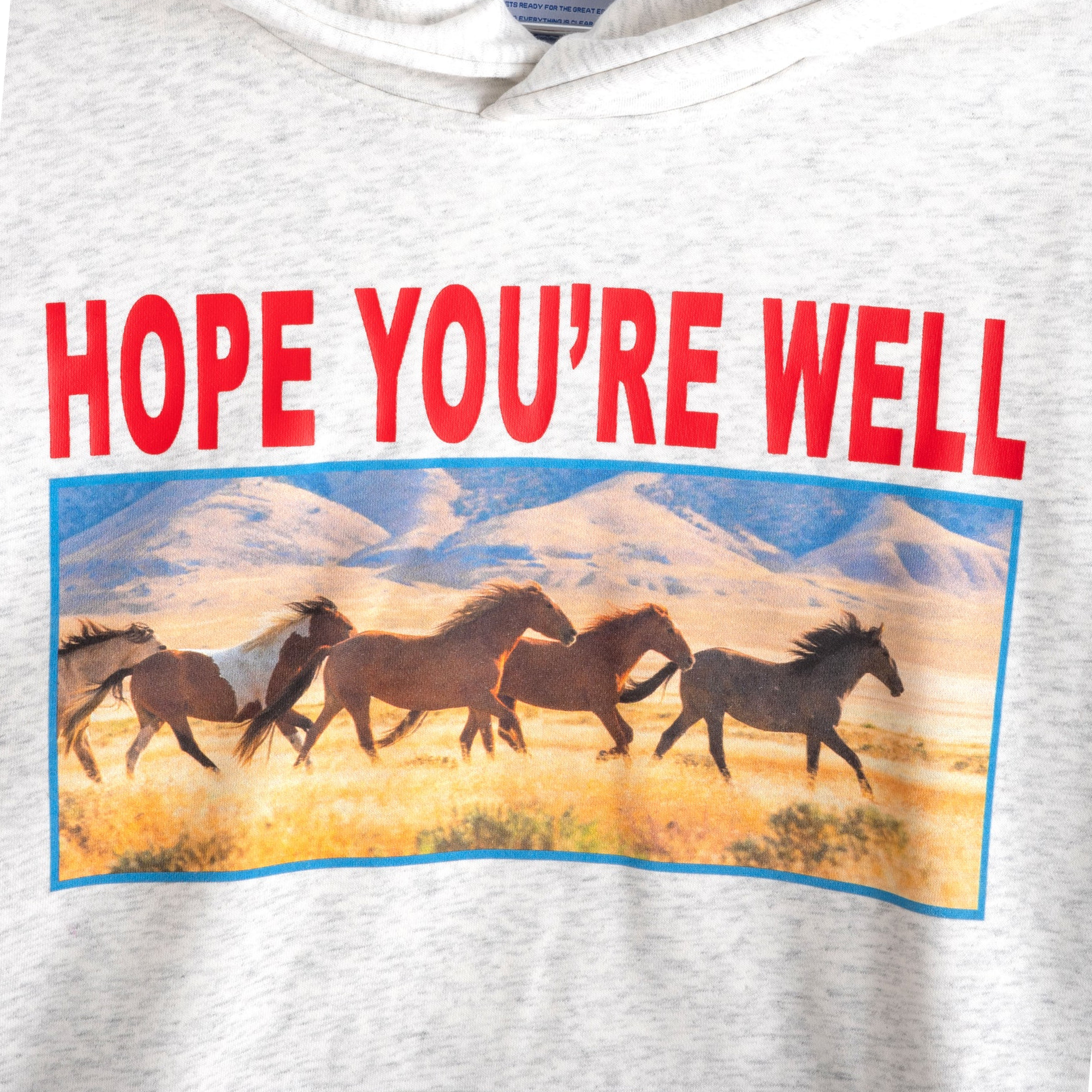 Jungles Jungles Horses Hoodie Grey