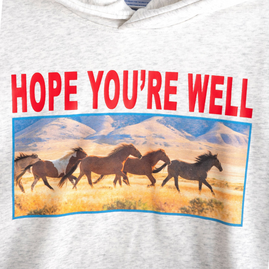 Jungles Jungles Horses Hoodie Grey