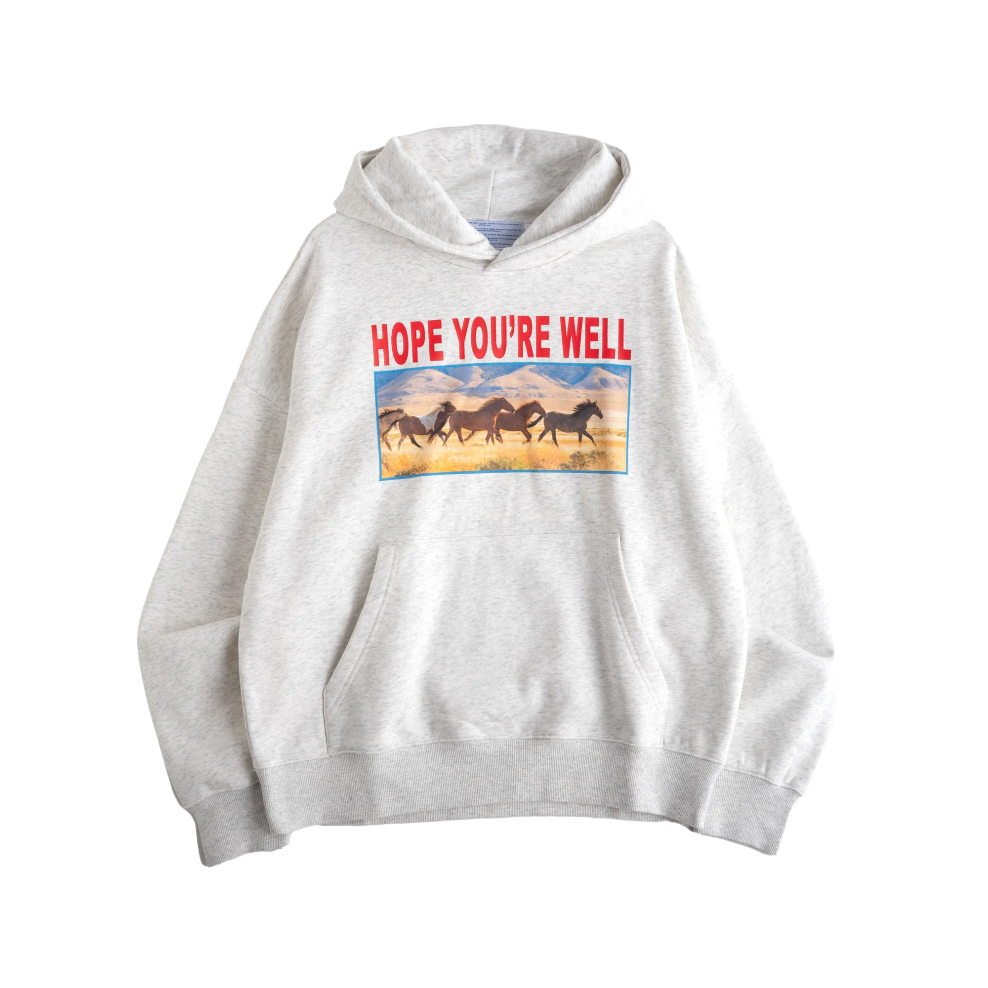 Jungles Jungles Horses Hoodie Grey