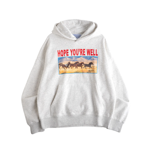 Jungles Jungles Horses Hoodie Grey
