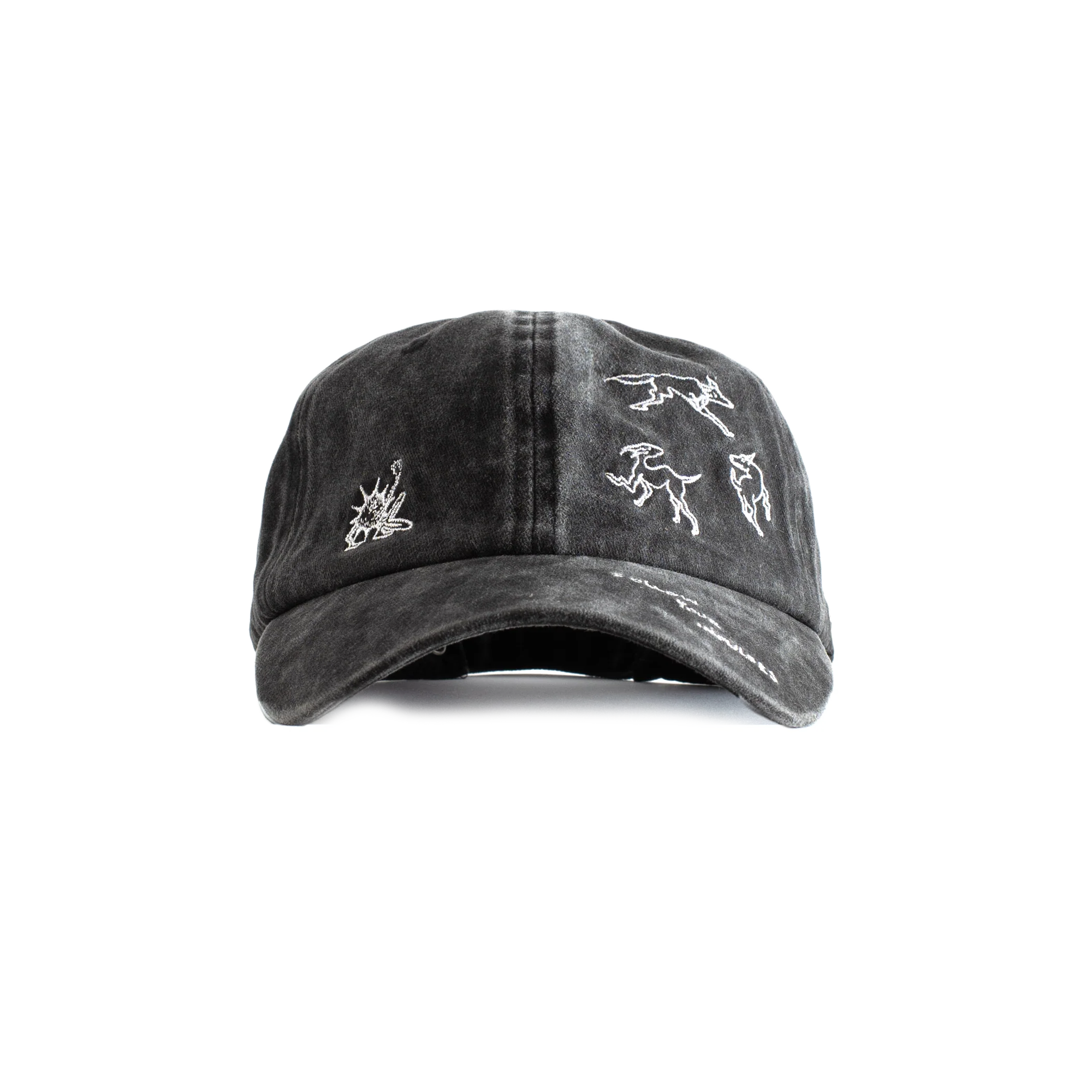 Jungles Jungles Impulses Cap Washed Black