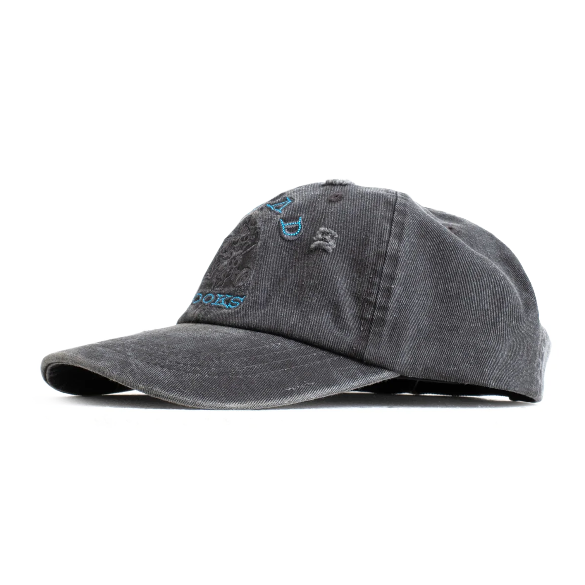 Jungles Jungles Read Books Vintage Cap Washed Black