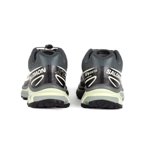 Salomon XT-6 GTX Urban Chic/Black/Lime Cream L47581300