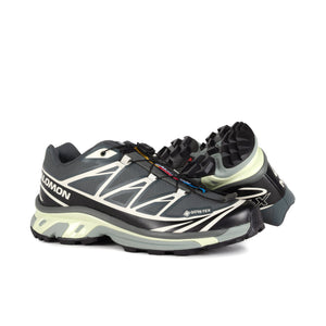 Salomon XT-6 GTX Urban Chic/Black/Lime Cream L47581300