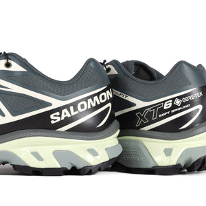 Salomon XT-6 GTX Urban Chic/Black/Lime Cream L47581300