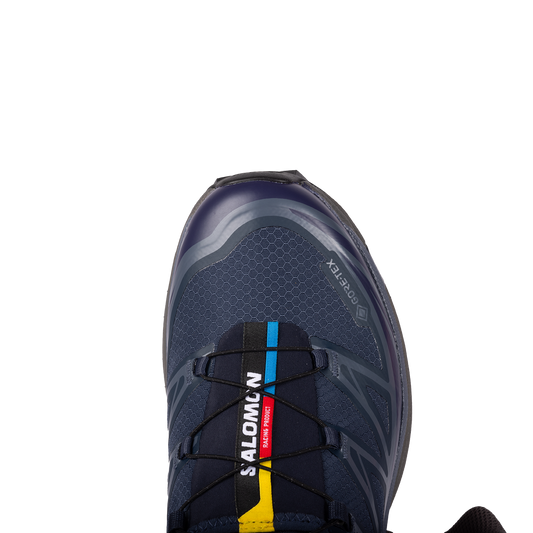 Salomon XT-6 GTX Blue Nights/Astral Aura/Plum Kitten L47861600