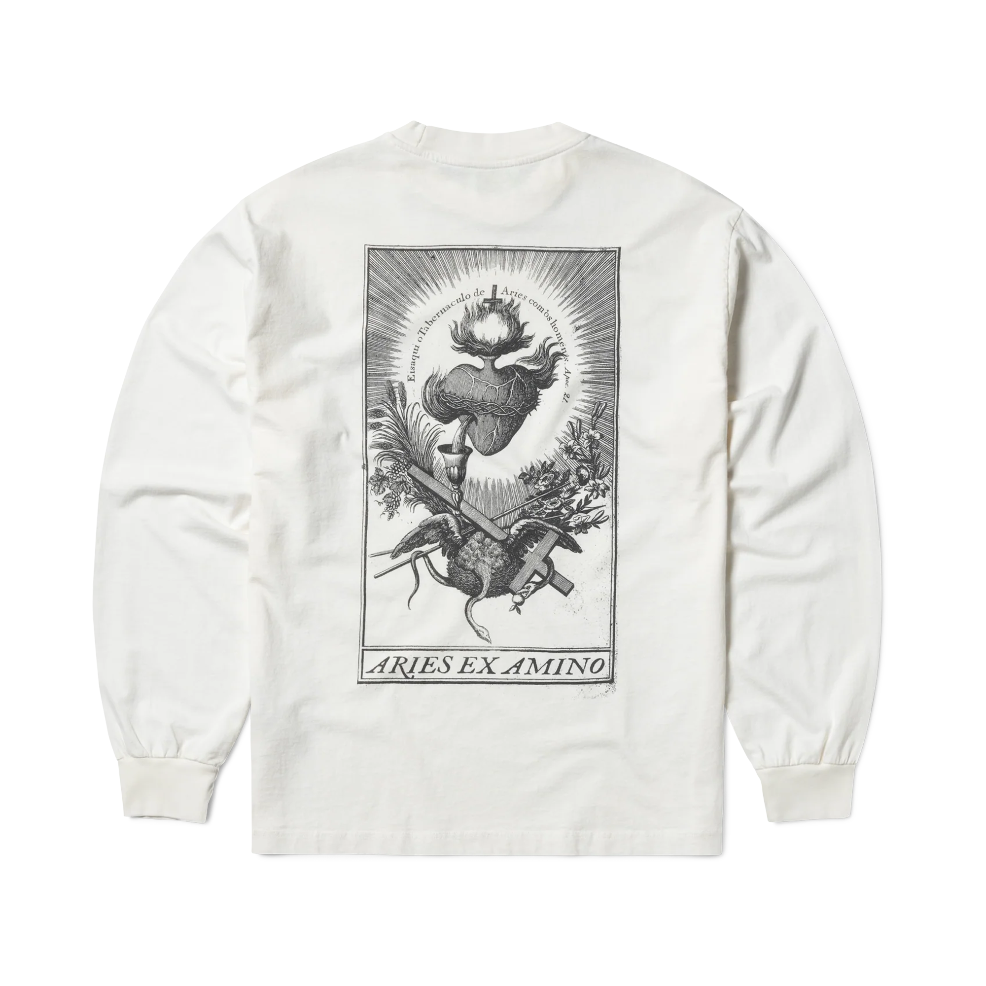 Aries Faded Aries Ex Amino Long Sleeve Tee Off White AR6002403