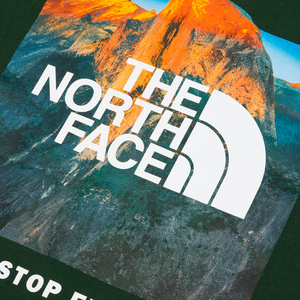 The North Face Red Box NSE  Short Sleeve Tee Pine Needle Green NF0A812HOF3