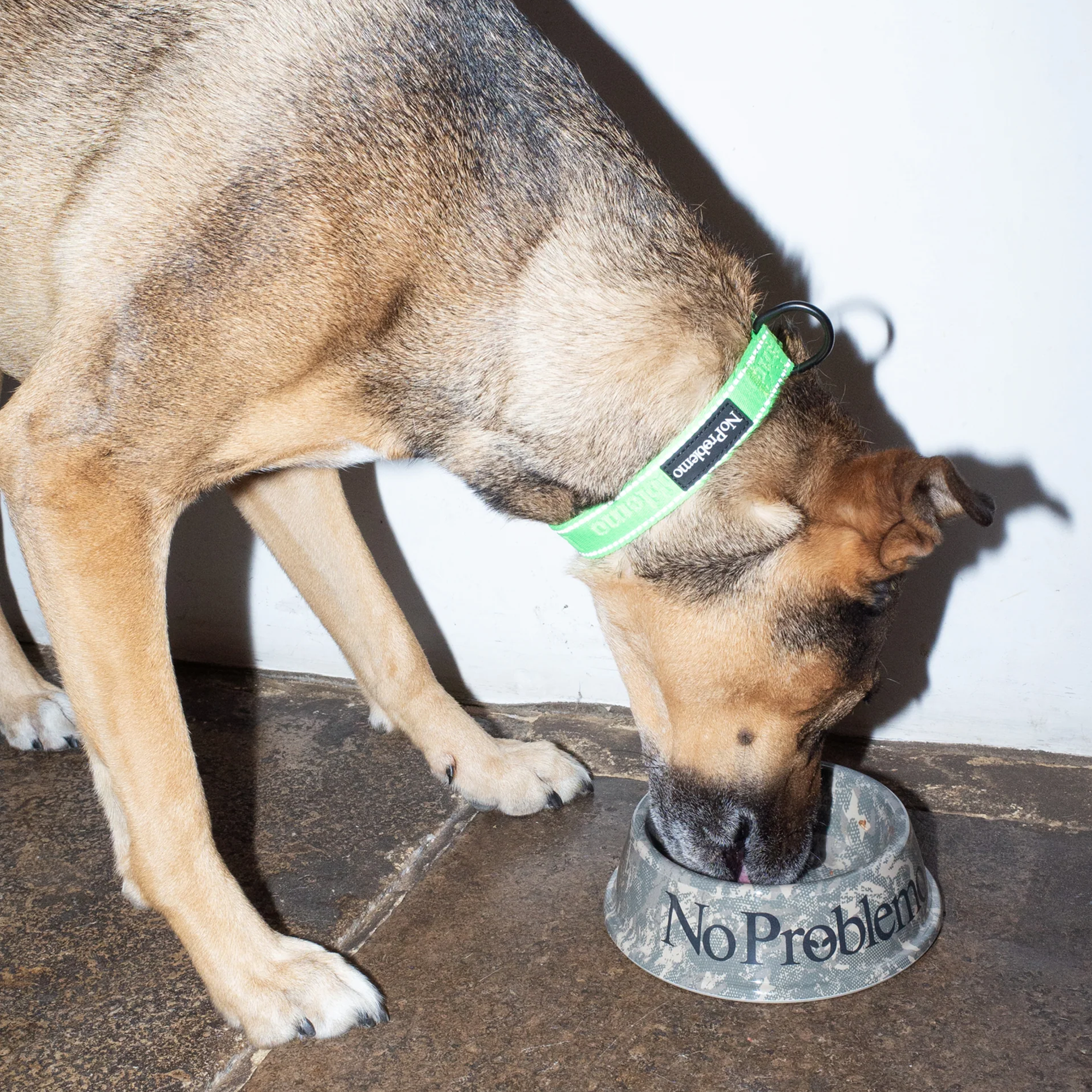 No Problemo Pet Bowl Light Camo