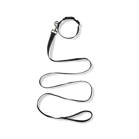 No Problemo Pet Lead Black