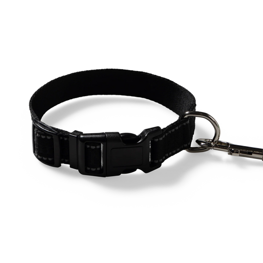 No Problemo Pet Lead Black