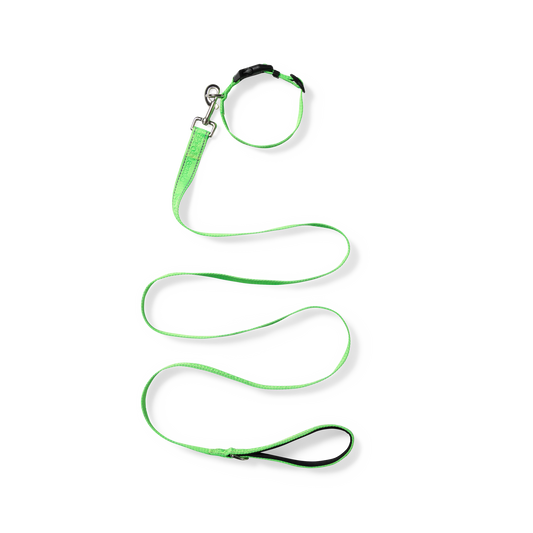 No Problemo Pet Lead Green