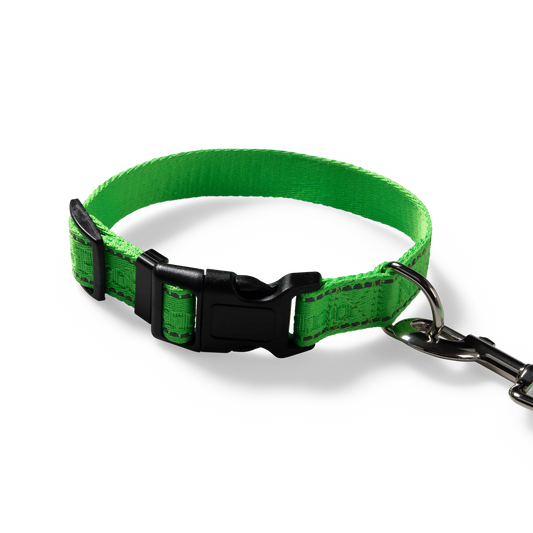 No Problemo Pet Lead Green