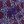 Needles Baseball Cap Poly Jacquard Flower