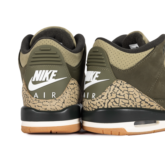 Nike Air Jordan 3 Retro "Family Affair" (GS) DM0967-202
