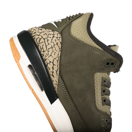 Nike Air Jordan 3 Retro "Family Affair" (GS) DM0967-202