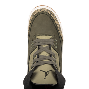 Nike Air Jordan 3 Retro "Family Affair" (GS) DM0967-202