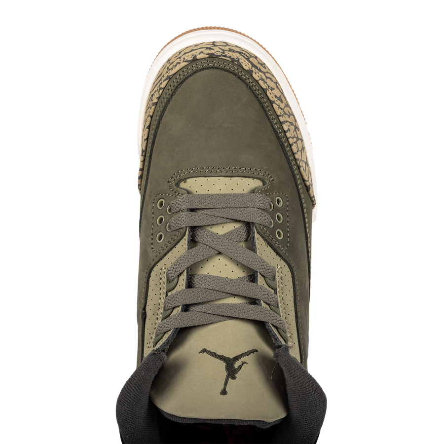 Nike Air Jordan 3 Retro "Family Affair" (GS) DM0967-202