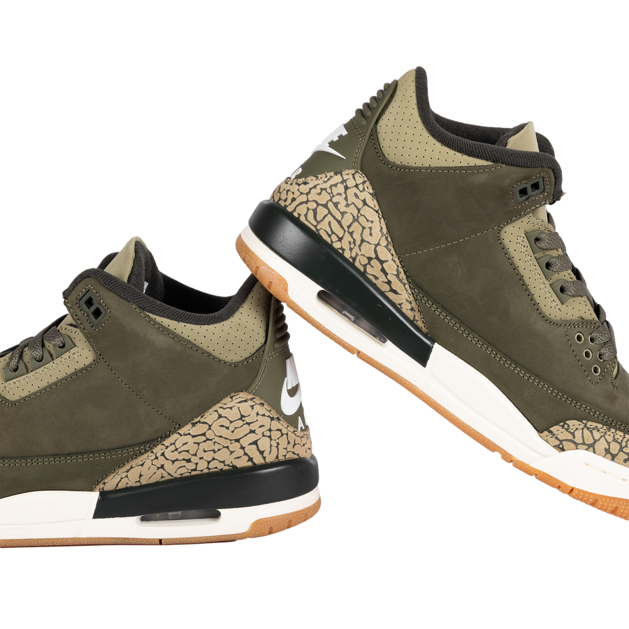 Nike Air Jordan 3 Retro "Family Affair" (GS) DM0967-202