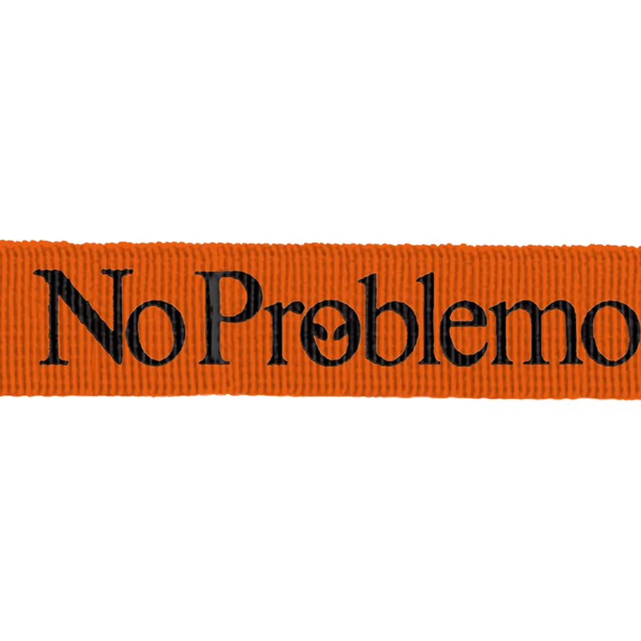 No Problemo Mini Problemo Carabiner Keychain Orange
