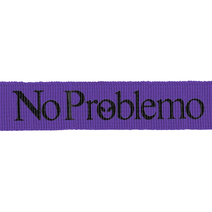 No Problemo Mini Problemo Carabiner Keychain Purple
