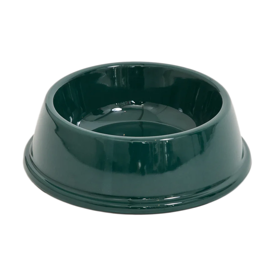 No Problemo Pet Bowl Green