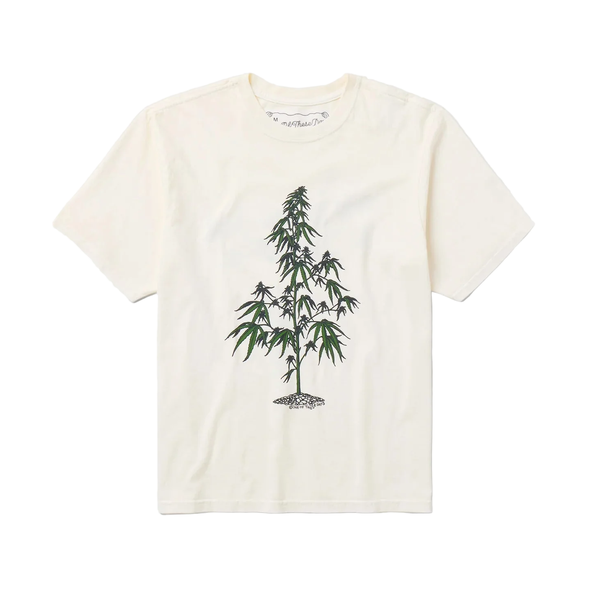 One Of These Days Away Go Trouble T-Shirt Bone