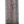 Collina Strada Rhinestone Water Bottle Star Stripe Multi