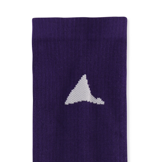 ROA Logo Biofil Socks Purple