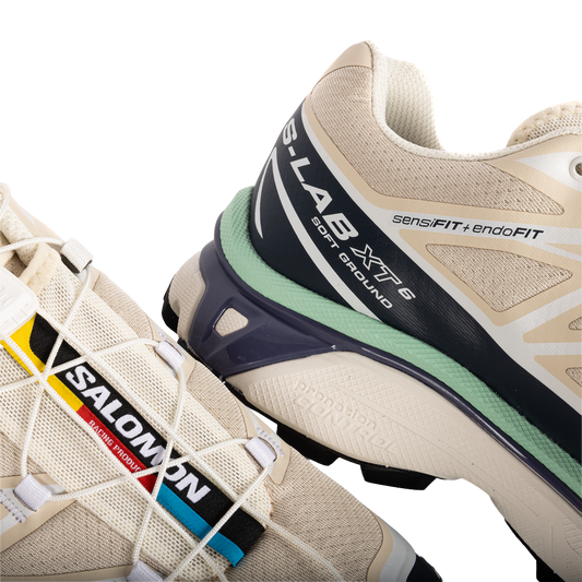 Salomon XT-6 Tapioca/Spellbound/Lichen L49212400
