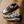 Nike Air Max 1 PRM "Shima Shima" FB8916-100