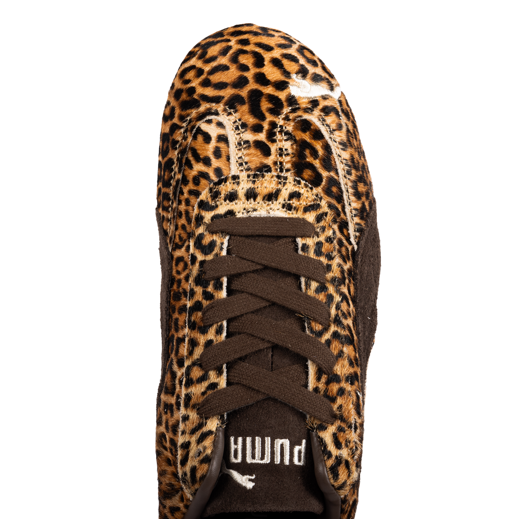 Puma Women's Speedcat Wild Chocolate/Warm White 40669001
