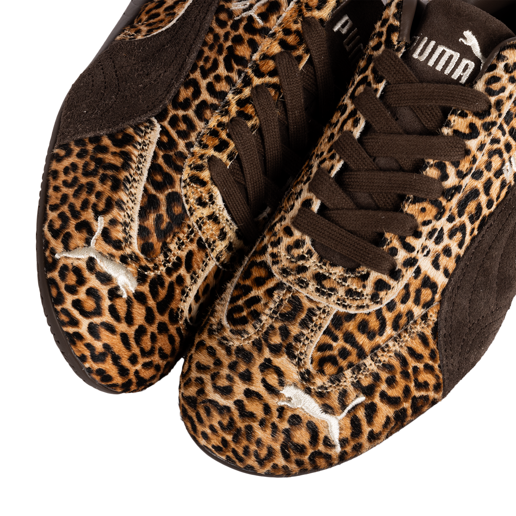 Puma Women's Speedcat Wild Chocolate/Warm White 40669001