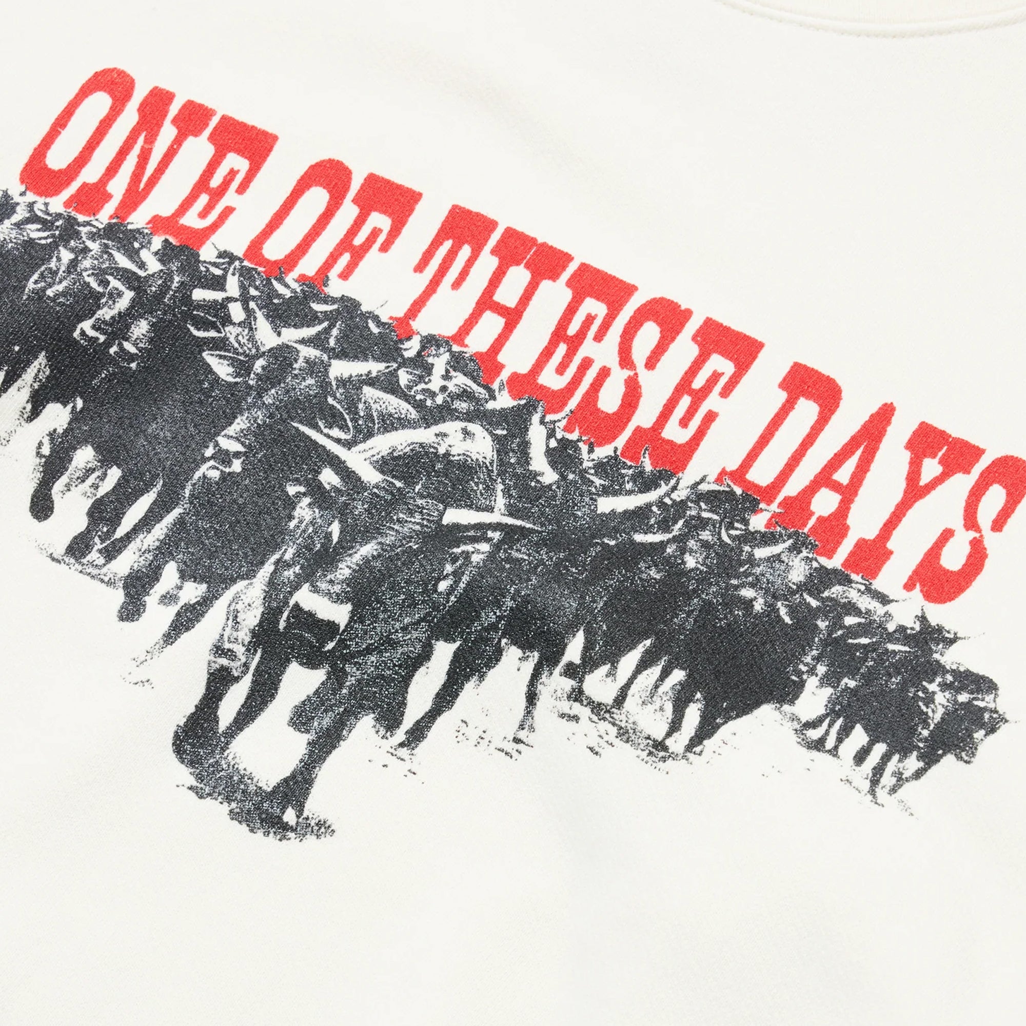One Of These Days Stampede Crewneck