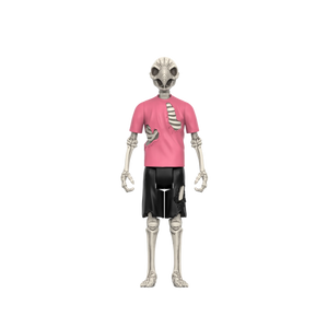 Super7 Powell-Peralta ReAction Figure Wave 2 - Tony Hawk