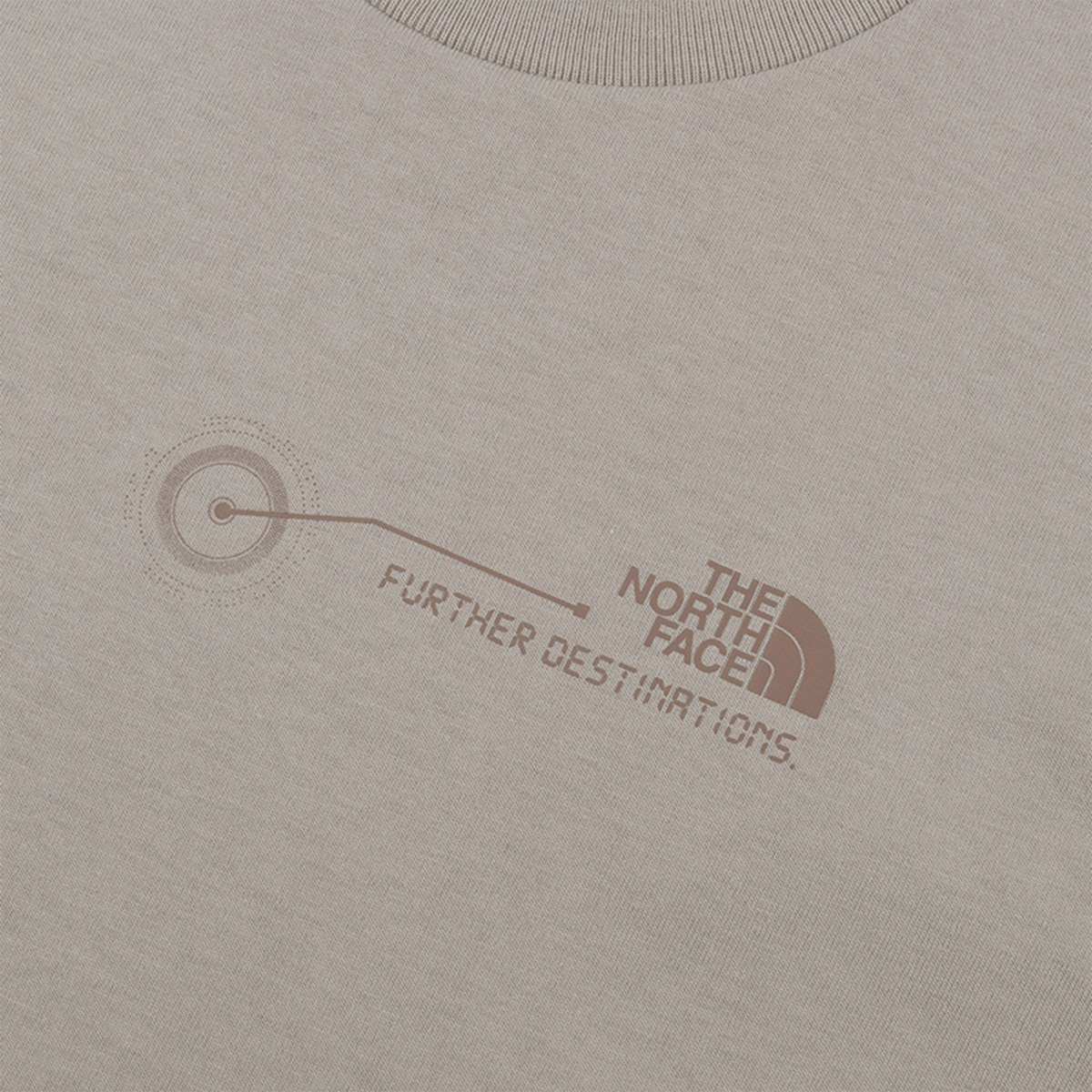 The North Face AP Further Destination T-Shirt Stone Slab