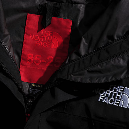 The North Face GTX Mountain Jacket Black NF0A831M57Y
