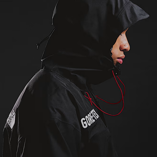 The North Face GTX Mountain Jacket Black NF0A831M57Y