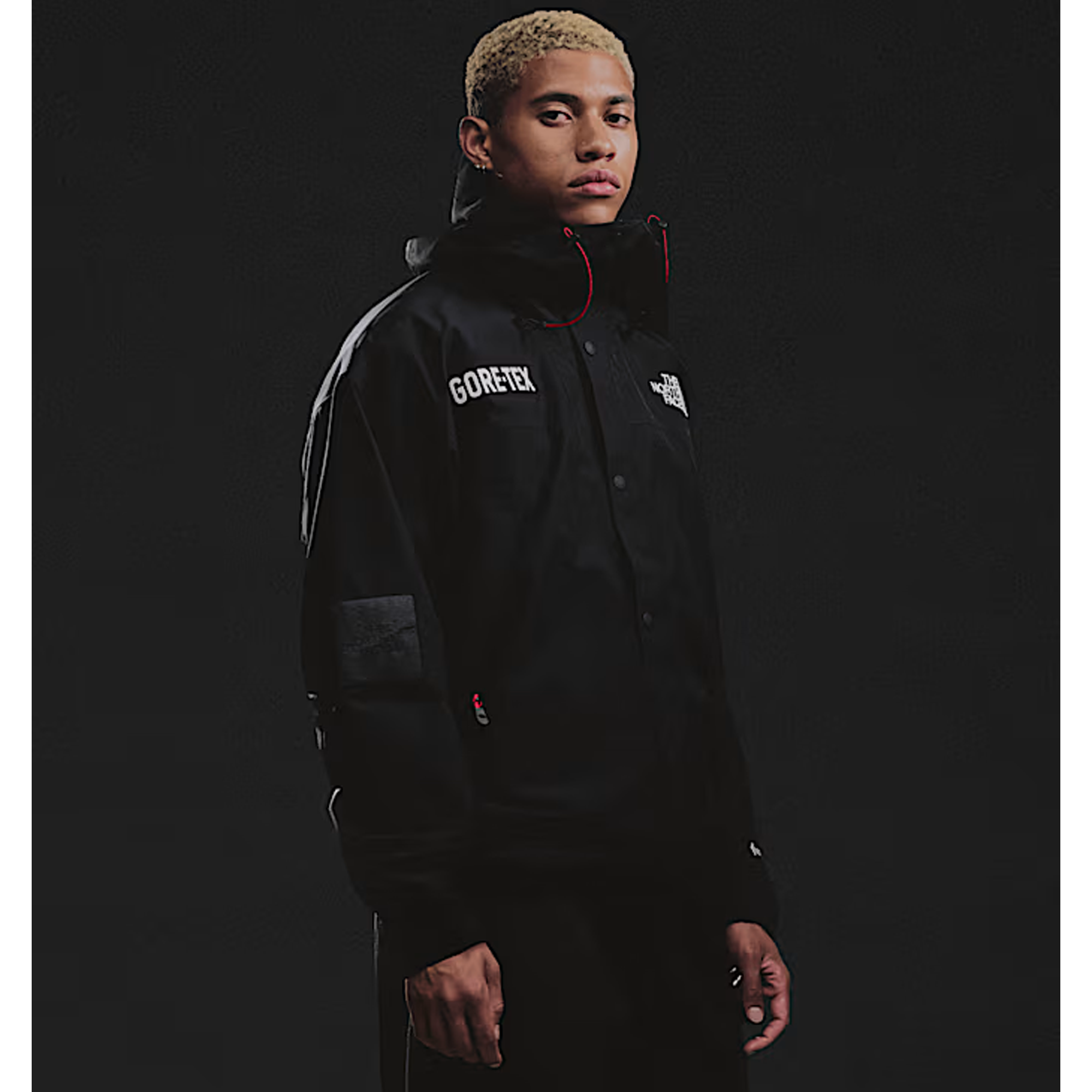 The North Face GTX Mountain Jacket Black NF0A831M57Y