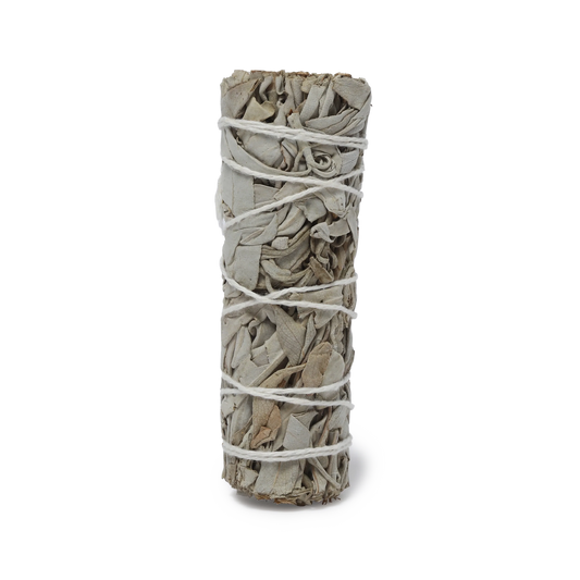 Neighborhood White Sage