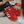 adidas Gazelle Indoor Scarlet/White H06261