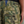 Andersson Bell Depot Camouflage Cargo Shorts Khaki APA808M