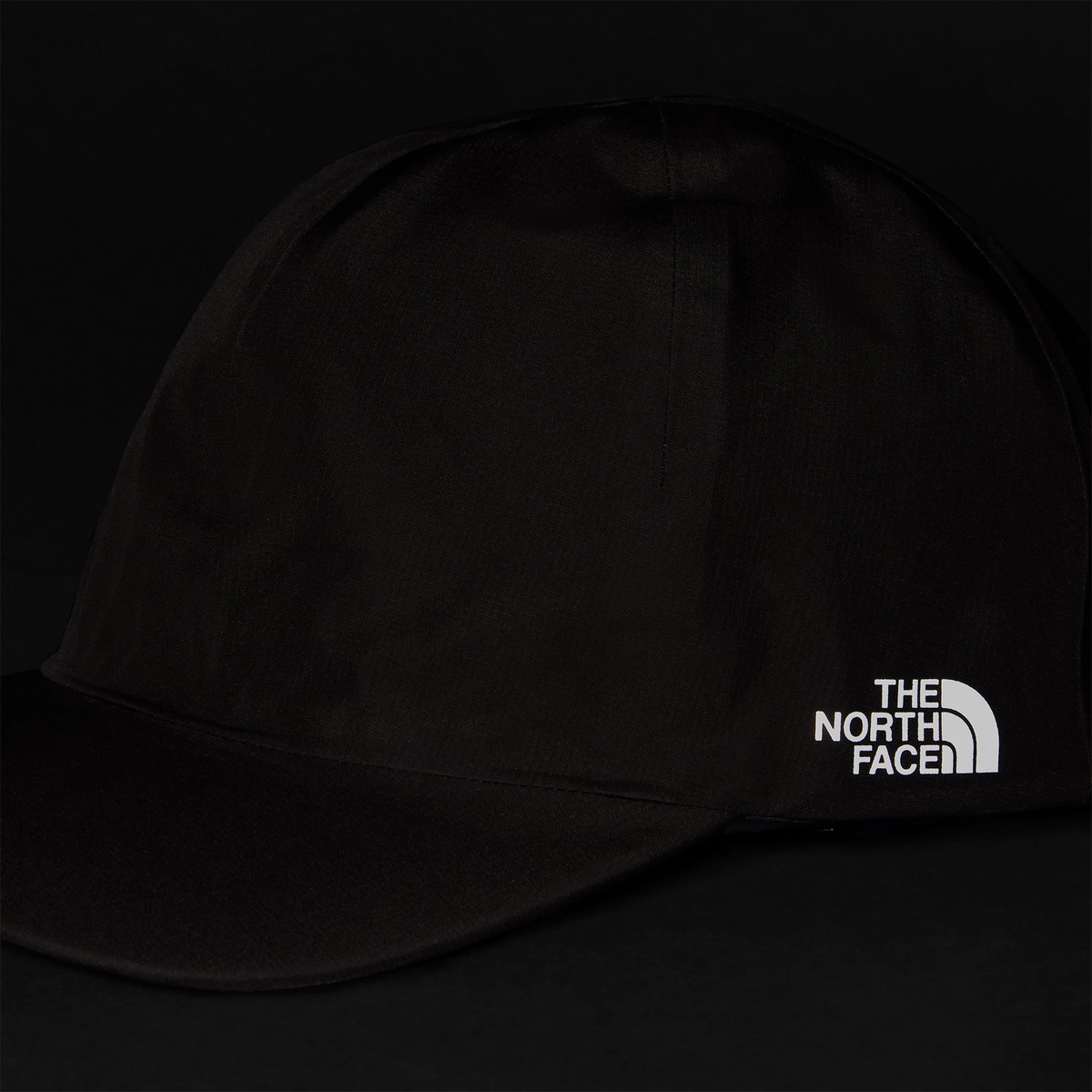 The North Face GTX Ballcap Lead