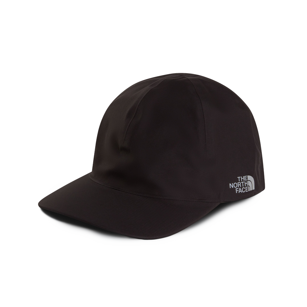 The North Face GTX Ballcap Lead