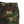 thisisneverthat T.N.T. Classic HDP Basic Sweatpant Camo