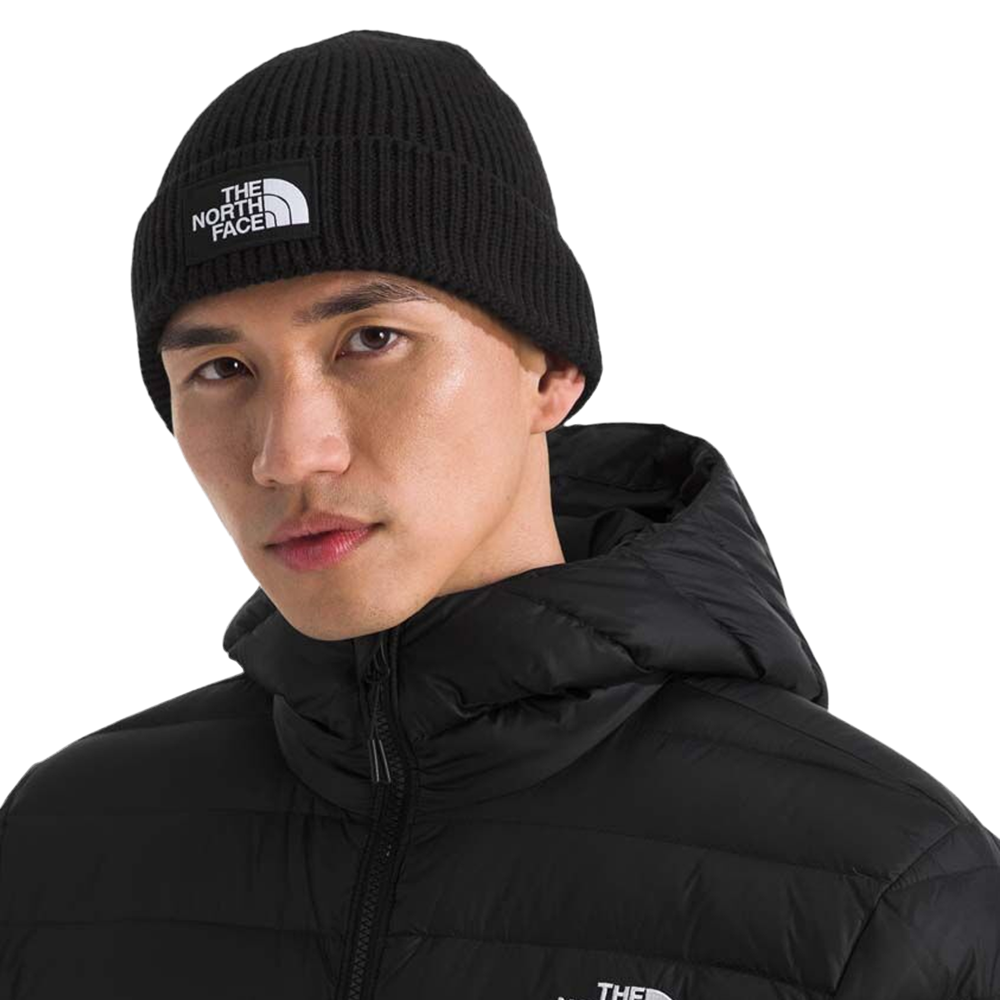 The North Face TNF Logo Box Cuffed Beanie TNF Black NF0A8CHEJK3
