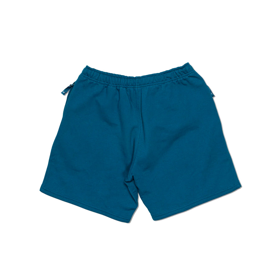 Nike Solo Swoosh Fleece Shorts Valerian Blue DV3055-460