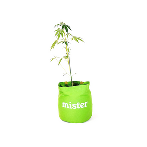 Mister Green Round Tote / Grow Pot Large Green