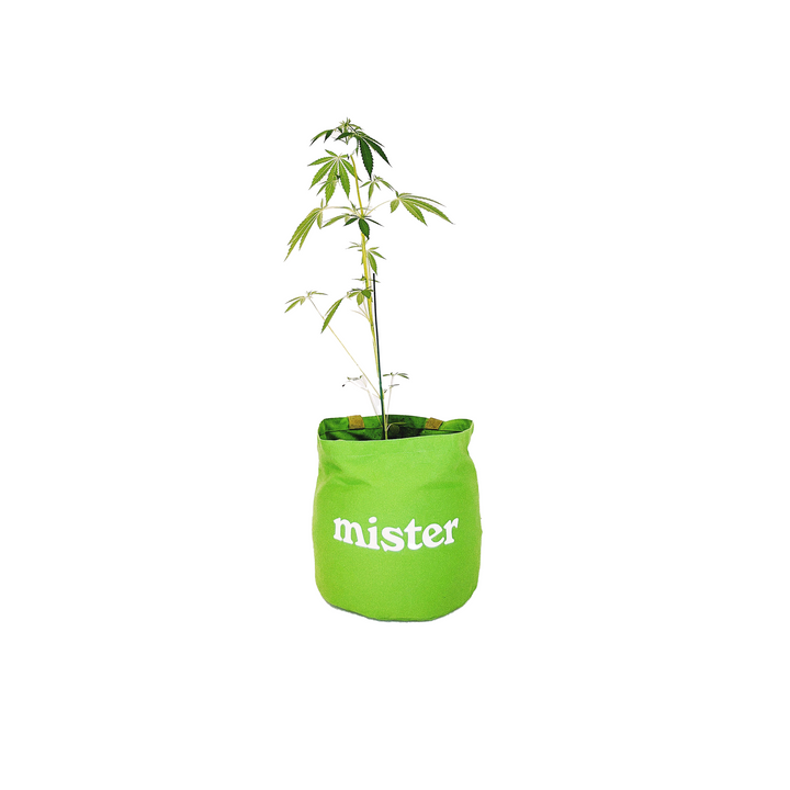 Mister Green Round Tote / Grow Pot Medium Green